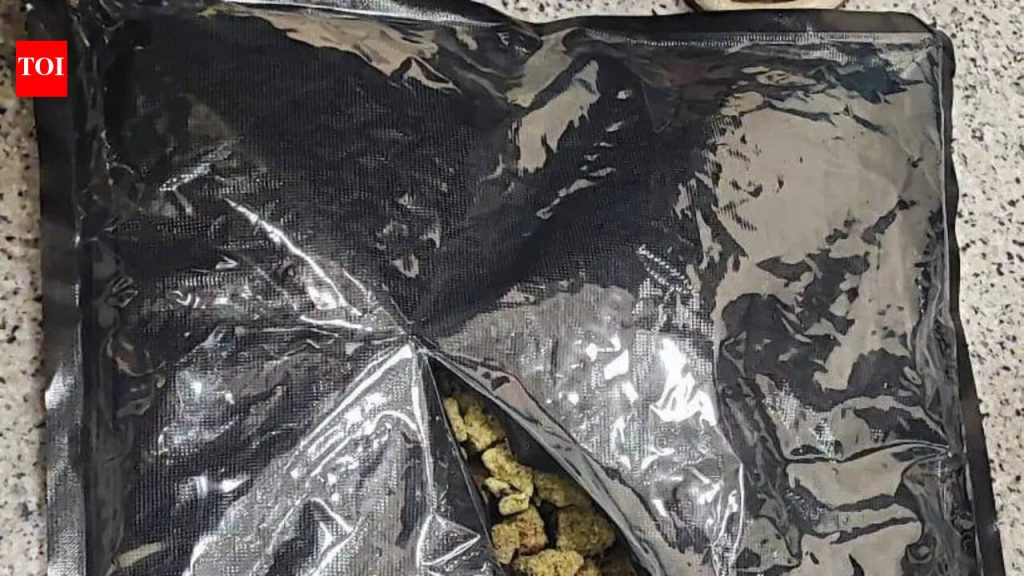 ४७९ किलो गांजा जप्त करण्यात पोलिसांना मदत झाली आंतरराज्य टोळीचा पर्दाफाश