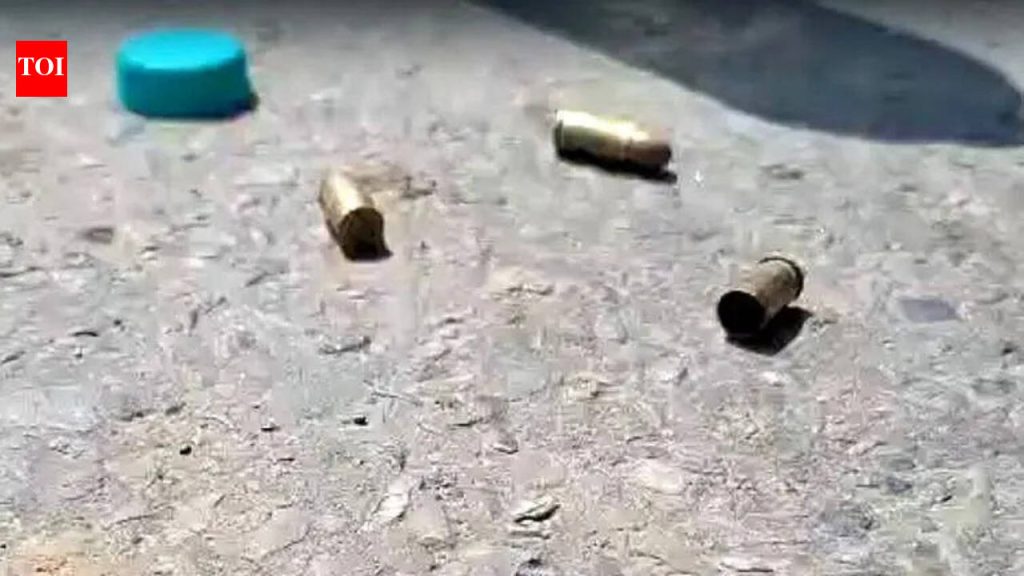 हल्लेखोरांनी कार अडवली, शिरूरच्या गुन्हेगाराला गोळ्या घालून ठार केले