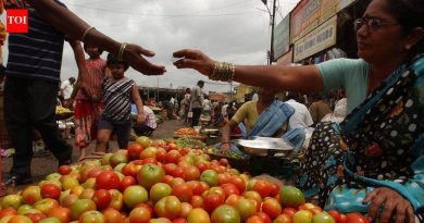 पुरवठा घटल्याने टोमॅटोचे भाव ३० टक्क्यांनी वाढले