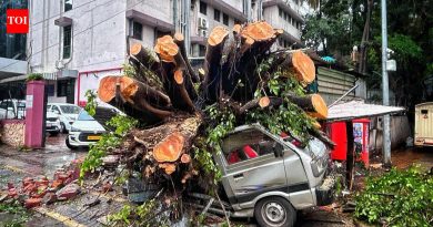 50 हून अधिक झाडे पडण्याची प्रकरणे अग्निशमन दलाच्या कर्मचाऱ्यांना त्यांच्या अंगठ्यावर ठेवतात