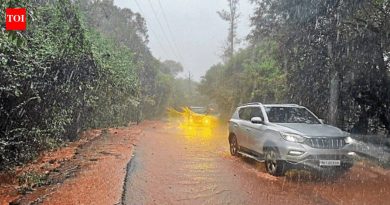 महाराष्ट्रातील घाटात पावसाचा जोर कायम, महाबळेश्वरला दरड कोसळली