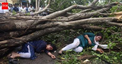 जनता वसाहत येथे वटवृक्ष अंगावर पडल्याने दोन महिला जखमी | पुणे बातम्या