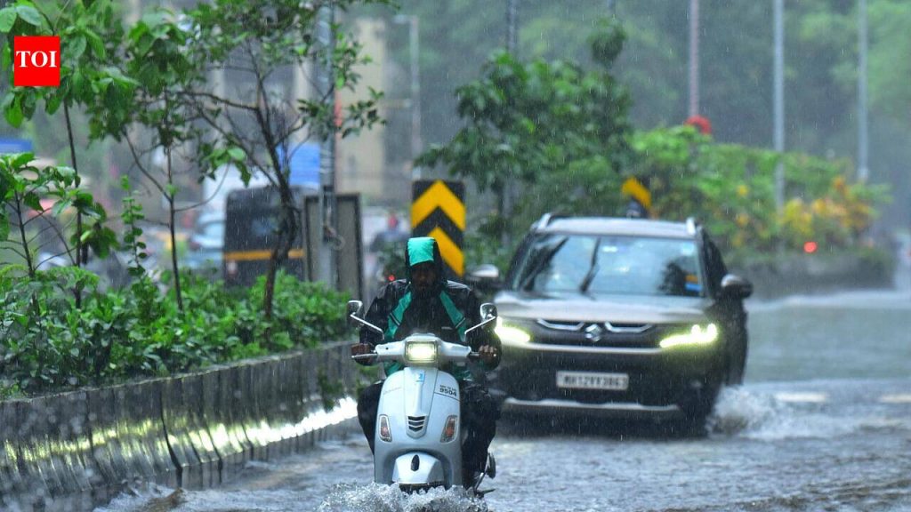 डेब्रिज डंपिंग रोखण्यासाठी पीएमसी नदीपात्रांवर सीसीटीव्ही कॅमेरे बसवणार | पुणे बातम्या