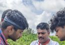 अनेक दशकांपासून चुकलेल्या, पुण्याच्या सुस टेकडीवरील लहान फुलांच्या रोपाची अखेर नवीन प्रजाती म्हणून ओळख | पुणे बातम्या