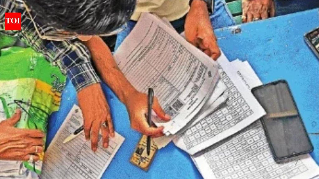 जिल्ह्याला अधिक डेटा-एंट्री ऑपरेटरची गरज भासत आहे कारण मतदारांची गर्दी वाढत आहे