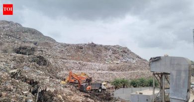 मोशी कचरा डेपो दुर्घटनेच्या चौकशीसाठी संयुक्त समिती, महिनाभरात एनजीटीला अहवाल सादर