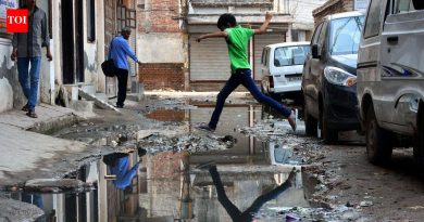 भारतीय शास्त्रज्ञांना मलेरिया थांबवण्याचा मार्ग सापडला असेल | पुणे बातम्या