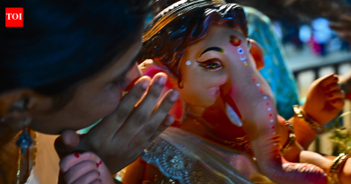 City’s biggest goodbye, cops’ longest shift: The human cost of Ganpati visarjan duty